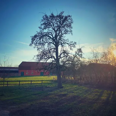 Semesterbostad Schickes Landhaus In Koselau&ostsee